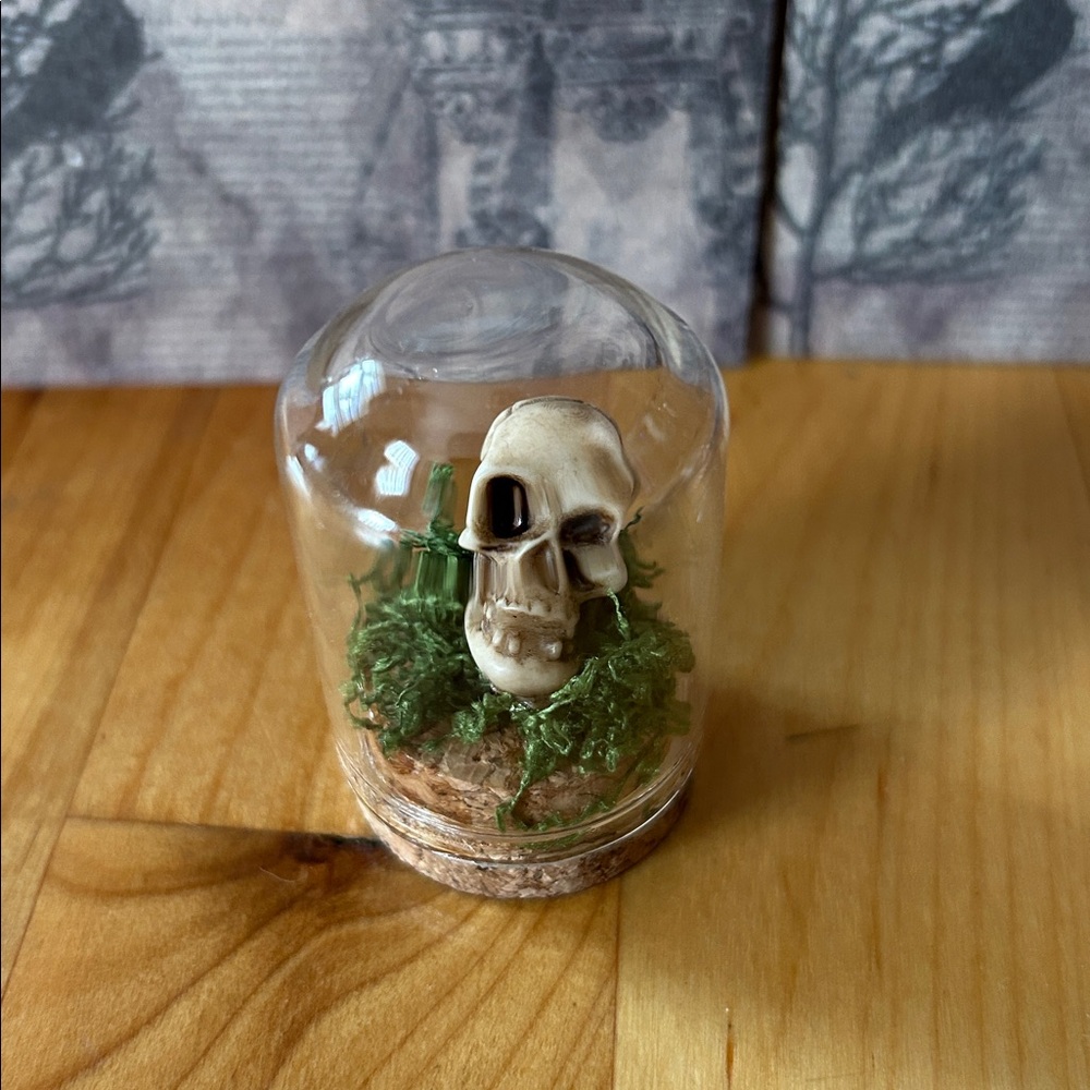 Mini Halloween cloche set